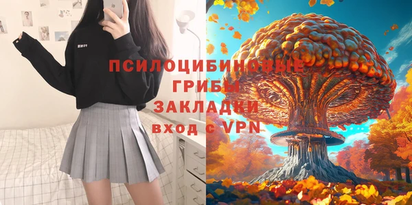 мескалин Алексин